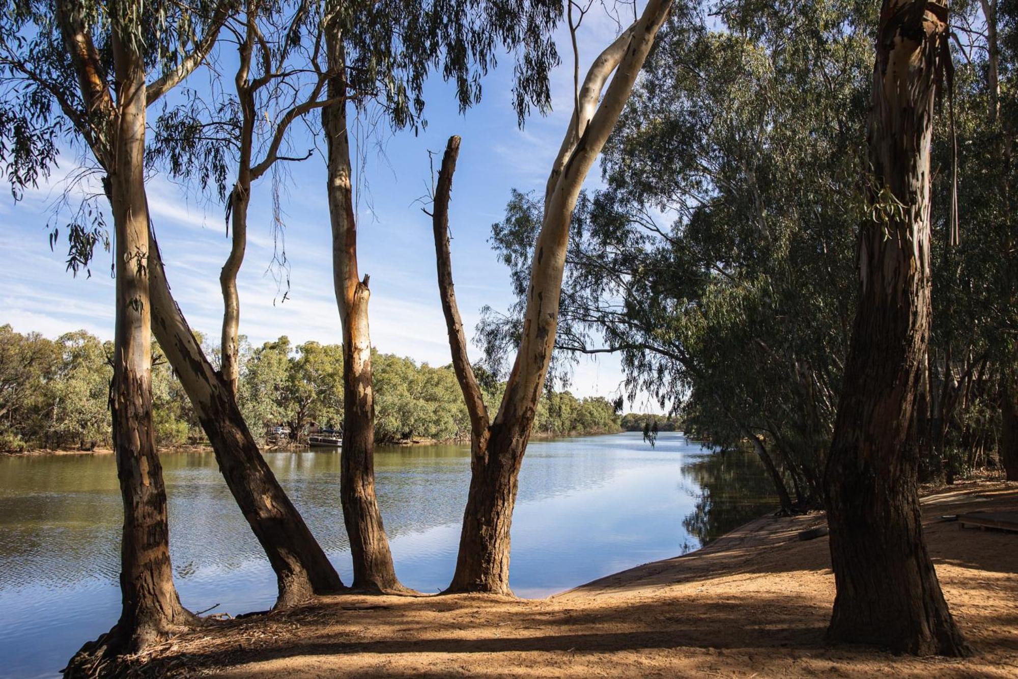 Nyngan Riverside Tourist Park 호텔 외부 사진